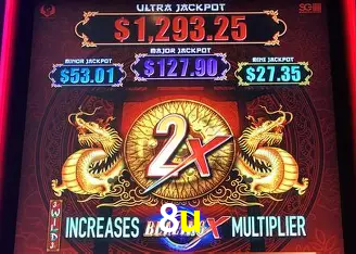 8u Rio de Janeiro - Professional Dealers